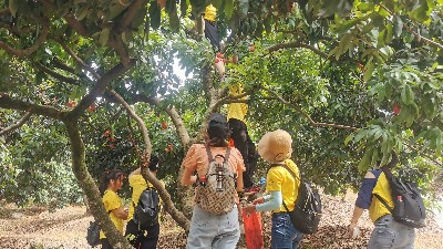���縣����yl23455������֯ժ��֦�